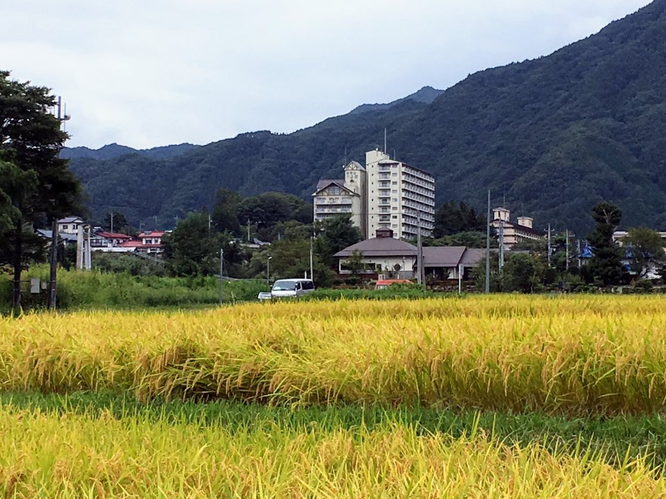 秋の田んぼから